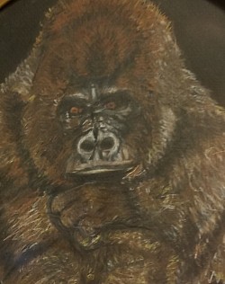 Gorilla- colored pencil (on black pastel paper)