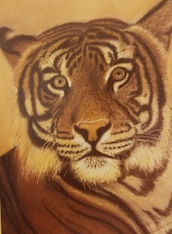 Tiger 2 - pastel painting (btw, over 4ft. high)