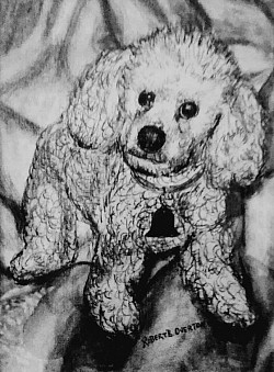 My first animal portrait, of our beloved Chalky, of our youth, with charcoal