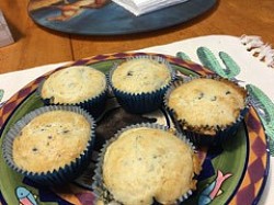 Blue Berry Muffins 