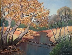 Wonderful stream scene